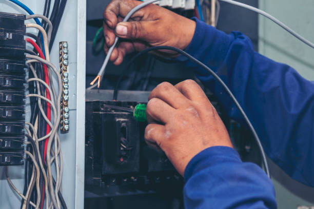 Best Electric Panel Repair  in Taylor, AL